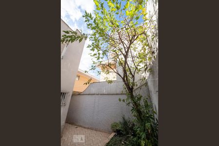Casa para alugar com 210m², 3 quartos e 2 vagasQuintal