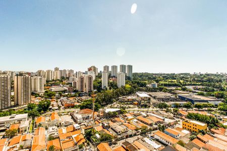 Vista Varanda de apartamento para alugar com 2 quartos, 63m² em Jardim Taquaral, São Paulo