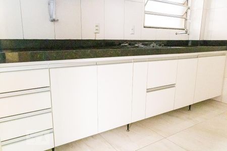 Cozinha e Área de Serviço de apartamento para alugar com 2 quartos, 45m² em Juliana, Belo Horizonte