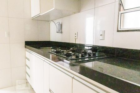 Cozinha de apartamento para alugar com 2 quartos, 45m² em Juliana, Belo Horizonte