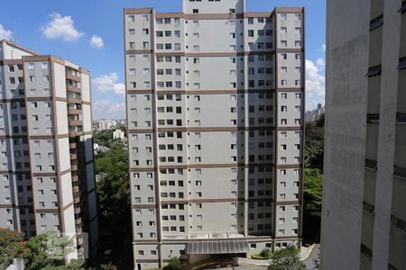 Vista da Sala de apartamento para alugar com 2 quartos, 75m² em Jaguaré, São Paulo