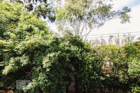 Suíte Vista de casa para alugar com 1 quarto, 40m² em Vila Guaca, São Paulo