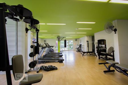 Apartamento para alugar com 75m², 2 quartos e 1 vaga Apartamento para alugar com 75m², 2 quartos e 1 vagaÁrea comum - Academia