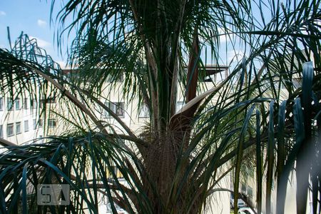 Apartamento para alugar com 58m², 2 quartos e 1 vagavista área de serviço