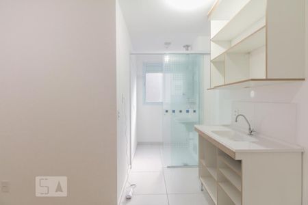 Apartamento para alugar com 45m², 2 quartos e sem vagaCozinha 