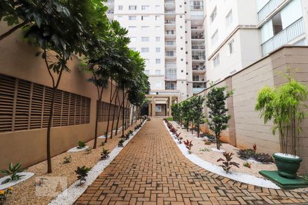 Apartamento para alugar com 78m², 3 quartos e 1 vagaÁrea comum