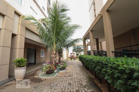 Apartamento para alugar com 78m², 3 quartos e 1 vagaÁrea comum