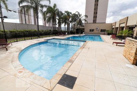 Apartamento para alugar com 78m², 3 quartos e 1 vagaPiscina