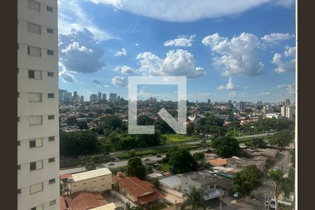 Apartamento para alugar com 79m², 3 quartos e 1 vagaVista