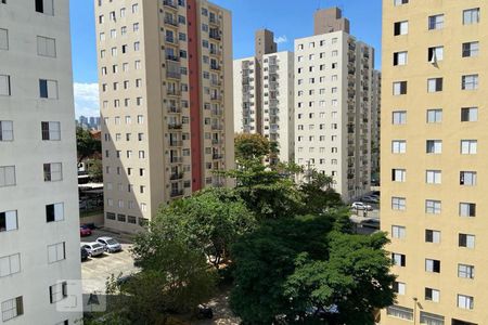 Apartamento para alugar com 55m², 2 quartos e 1 vagaVista do Quarto 1