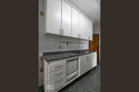 Apartamento para alugar com 100m², 3 quartos e 2 vagasCozinha - Armário