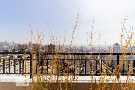 Studio para alugar com 25m², 1 quarto e sem vagaÁrea comum - Piscina