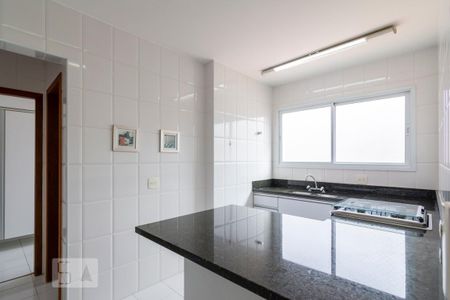 Apartamento para alugar com 95m², 3 quartos e 2 vagasCozinha