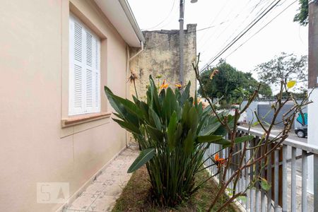 Casa para alugar com 80m², 2 quartos e sem vagaJardim