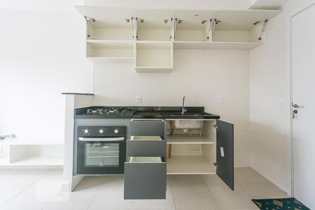 Cozinha Armarios de apartamento para alugar com 1 quarto, 31m² em Ferreira, São Paulo