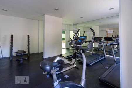 Apartamento para alugar com 56m², 2 quartos e 1 vagaÁrea comum - Academia