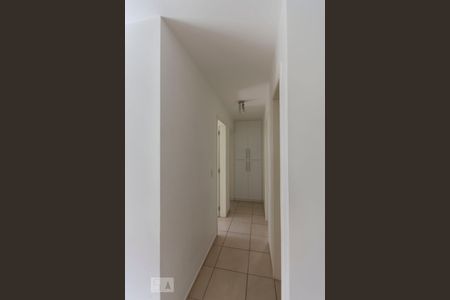 Corredor de apartamento à venda com 3 quartos, 62m² em Jardim Nova Europa, Campinas