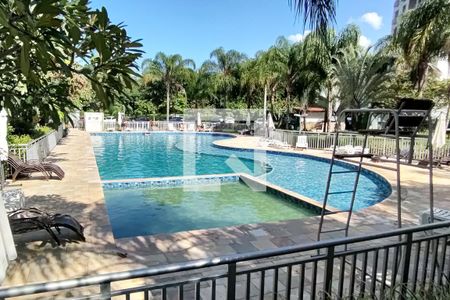 Apartamento para alugar com 56m², 2 quartos e 1 vaga Apartamento para alugar com 56m², 2 quartos e 1 vagaÁrea comum - Piscina