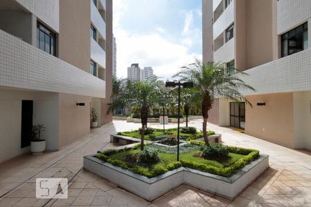 Apartamento para alugar com 50m², 2 quartos e 1 vagaÁrea comum