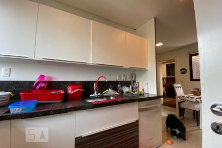 Apartamento à venda com 235m², 3 quartos e 4 vagas Apartamento à venda com 235m², 3 quartos e 4 vagasCozinha