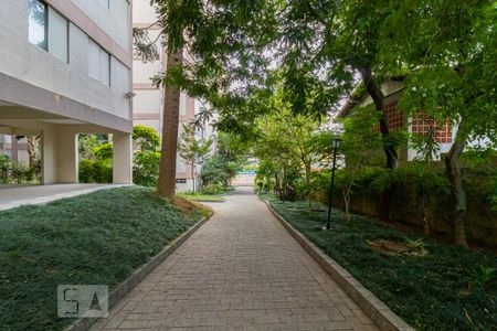 Área comum - Jardim de apartamento para alugar com 2 quartos, 64m² em Vila Mariana, São Paulo