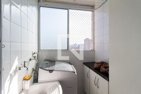 Cozinha e  área de serviço de apartamento para alugar com 2 quartos, 55m² em Cambuci, São Paulo