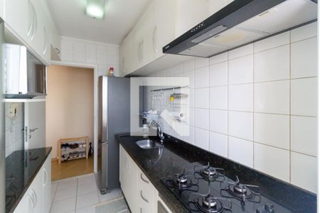 Cozinha e  área de serviço de apartamento para alugar com 2 quartos, 55m² em Cambuci, São Paulo