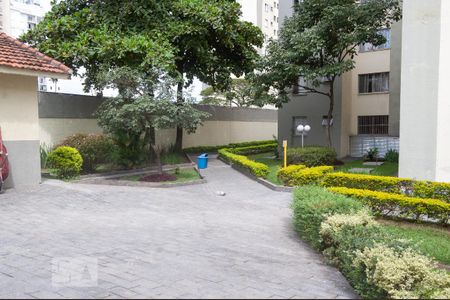 Área comum de apartamento para alugar com 2 quartos, 49m² em Tatuapé, São Paulo