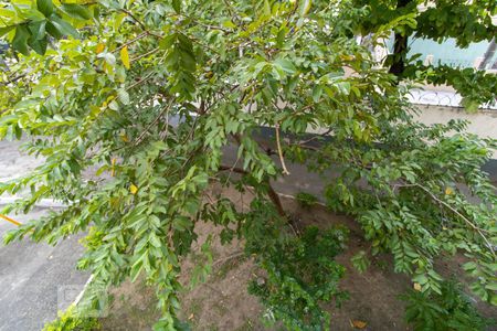 Apartamento para alugar com 43m², 2 quartos e 1 vagaVista do Quarto 2