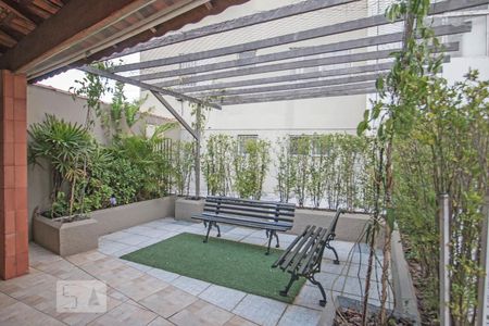 Área comum - Churrasqueira de apartamento para alugar com 2 quartos, 76m² em Vila Cruzeiro, São Paulo