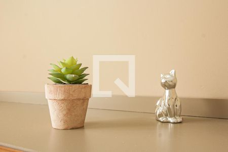 Sala/Cozinha de apartamento para alugar com 1 quarto, 31m² em Vila Palmeiras, São Paulo