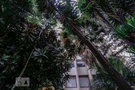 Apartamento para alugar com 45m², 1 quarto e sem vagaFachada