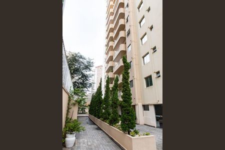 Apartamento para alugar com 48m², 1 quarto e 1 vaga Apartamento para alugar com 48m², 1 quarto e 1 vagaárea comum