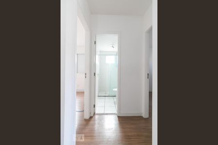 Corredor de apartamento para alugar com 2 quartos, 45m² em Quinta da Paineira, São Paulo