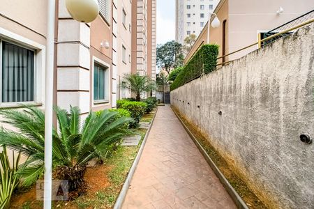 Apartamento para alugar com 45m², 2 quartos e 1 vaga Apartamento para alugar com 45m², 2 quartos e 1 vagaÁrea comum