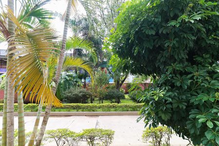 Apartamento para alugar com 54m², 3 quartos e 1 vaga Apartamento para alugar com 54m², 3 quartos e 1 vagaVista do Quarto 2