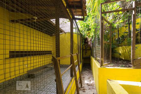 Casa à venda com 550m², 4 quartos e 9 vagasÁrea Externa - Fundos