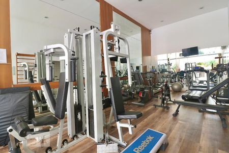 Apartamento para alugar com 19m², 1 quarto e 1 vagaÁrea comum - Academia