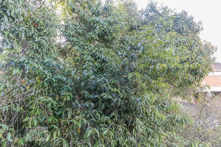 Kitnet Vista de kitnet/studio à venda com 1 quarto, 26m² em Vila Indiana, São Paulo