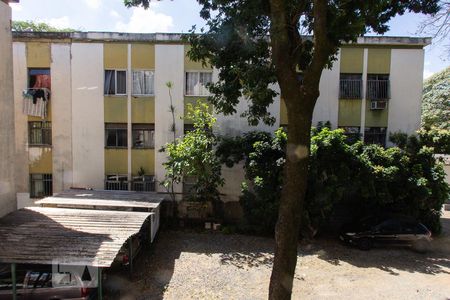 Vista da Sala de apartamento para alugar com 3 quartos, 70m² em Horto Florestal, Belo Horizonte