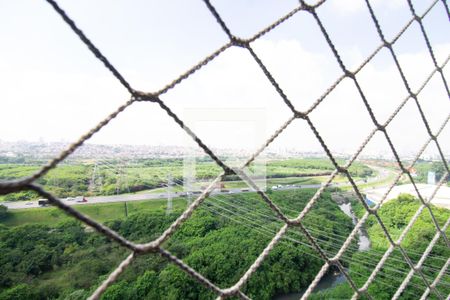 Vista do Quarto 1 de apartamento para alugar com 3 quartos, 55m² em Vila Venditti, Guarulhos
