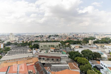 Vista da Varanda da Sala de apartamento para alugar com 3 quartos, 94m² em Vila Vermelha, São Paulo