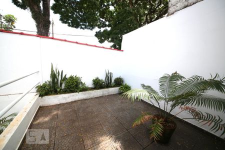Casa para alugar com 45m², 1 quarto e sem vagaTerraço