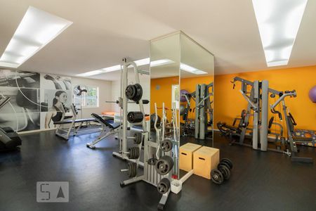 Apartamento para alugar com 98m², 3 quartos e 1 vagaÁrea comum - Academia