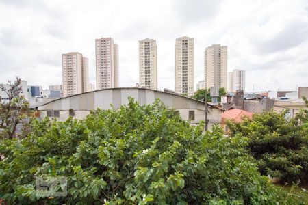Vista Quarto 1 de apartamento para alugar com 2 quartos, 60m² em Limão, São Paulo