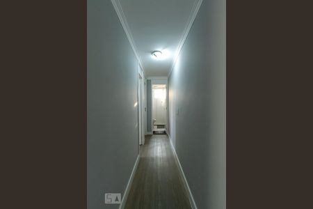 Corredor de apartamento para alugar com 2 quartos, 50m² em Santa Terezinha, São Bernardo do Campo