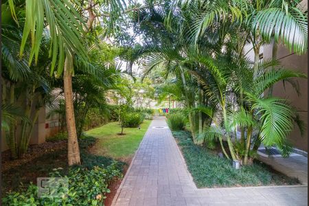 Apartamento para alugar com 32m², 1 quarto e sem vaga Apartamento para alugar com 32m², 1 quarto e sem vagaJardim