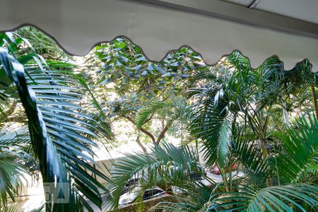 Sala - Vista de apartamento para alugar com 3 quartos, 74m² em Vila Sofia, São Paulo