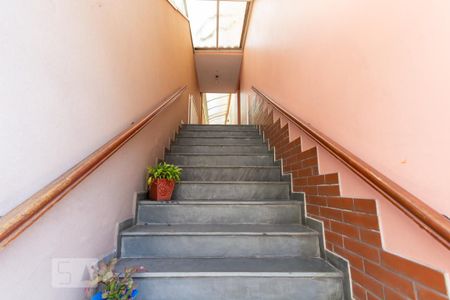 Casa à venda com 250m², 3 quartos e 3 vagasEscada para garagem