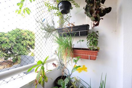 Varanda de apartamento para alugar com 2 quartos, 55m² em Vila da Saúde, São Paulo